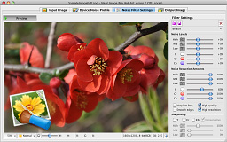 Neat Image standalone for Mac OSX